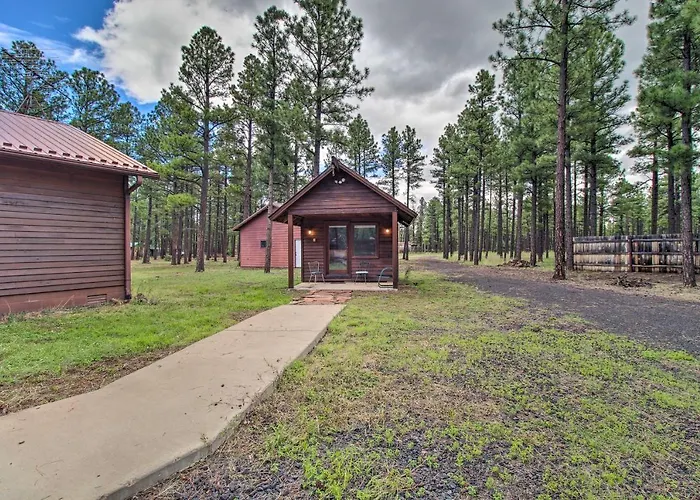 Yard, Grill & Games: Spacious In Lakeside! Holiday home *