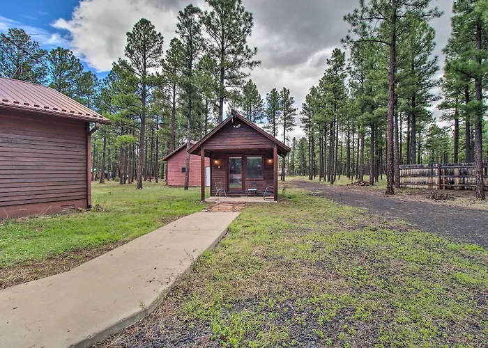 Yard, Grill & Games: Spacious In Lakeside! Holiday home Sponseller